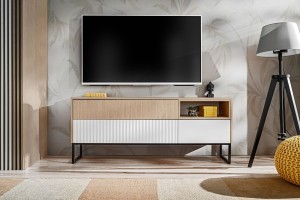 TV-Schrank ZOE 2D1S