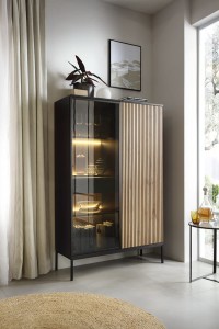 Vitrine HALLE WTSZ104